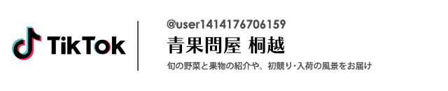 野菜・果物卸、カット野菜の株式会社桐越　TikTok
